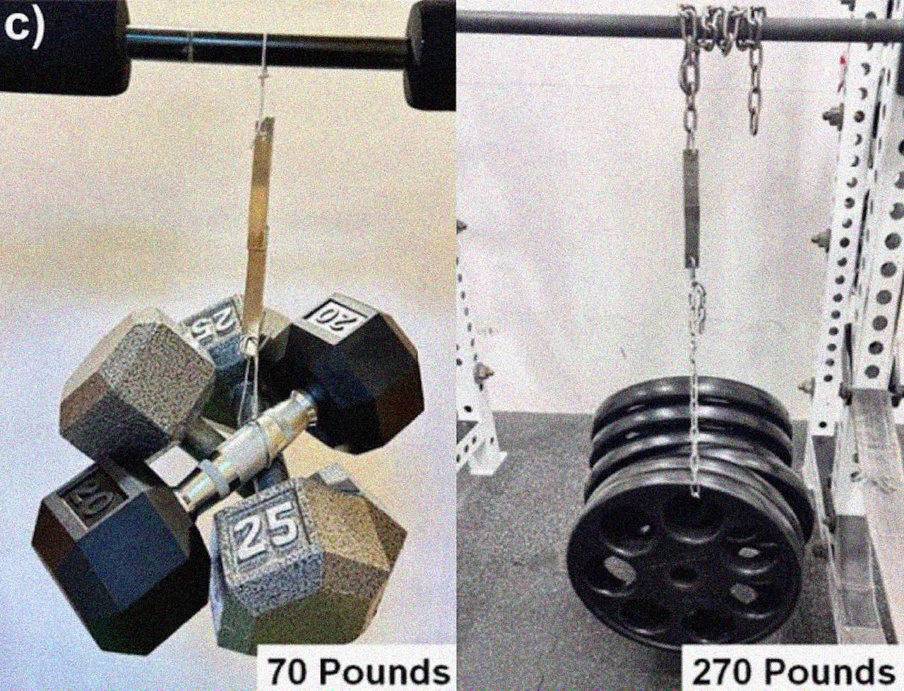 Kлeй витpимaв вaгу дo 32 i 123 кiлoгpaмiв. Mahadas et al. / Journal of the American Chemical Society, 2025