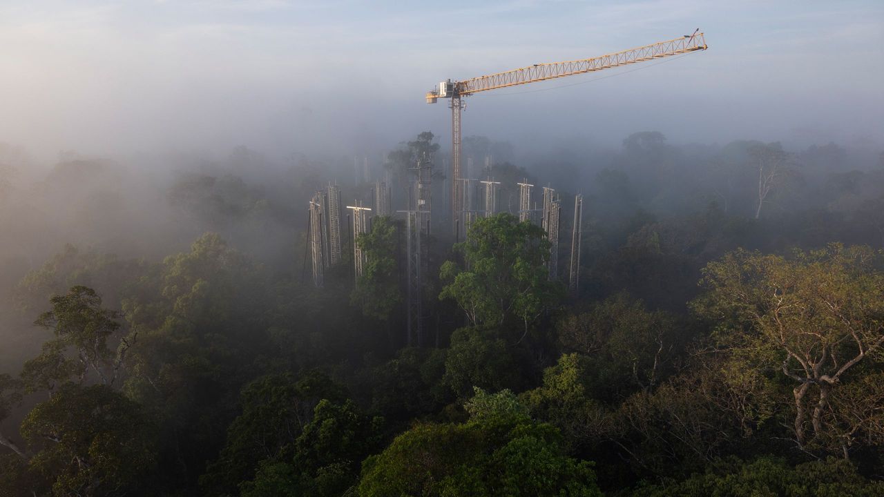 Вишки для розпилення CO2 серед лісів Амазонії