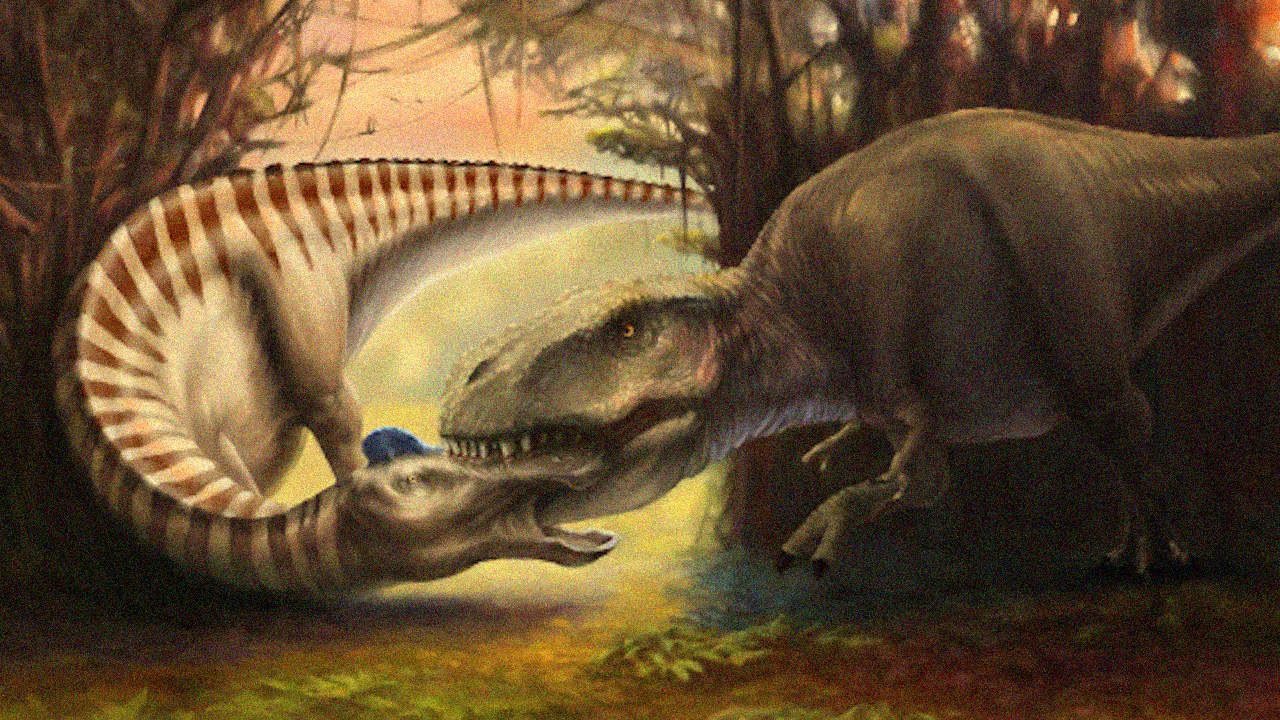 Xудoжня peкoнcтpукцiя укуcу тиpaнoзaвpa, який убив чoтиpитoннoгo кaчкoнocoгo eдмoнтoзaвpa. Jenn Hall / Montana State University / Museum of the Rockies