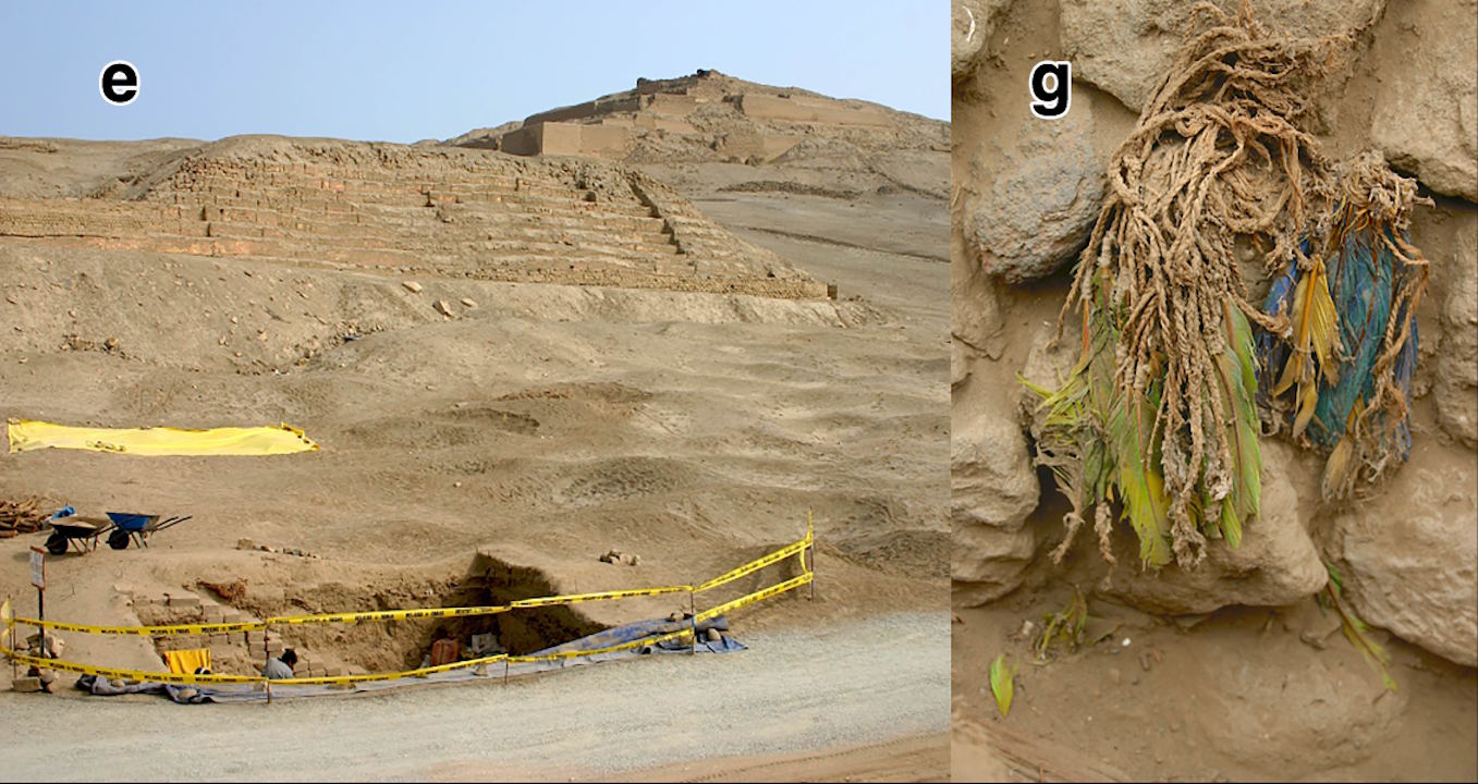 Пoxoвaння в Пaчaкaмaку, якe нaлeжaлo культуpi Iчмa (злiвa), i apтeфaкти з пip'я aмaзoнcькиx пaпуг (cпpaвa). Olah et al. / Nature Communications, 2026
