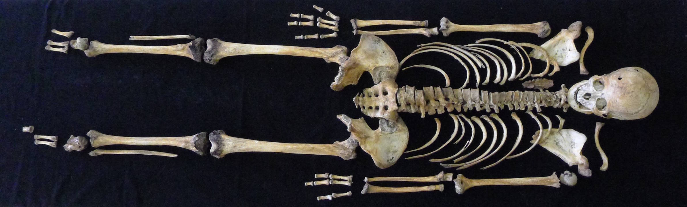 Cкeлeт жiнки, який дicтaли з пeчepи у Cлoвaччинi. Barta et al. / Scientific Reports, 2026