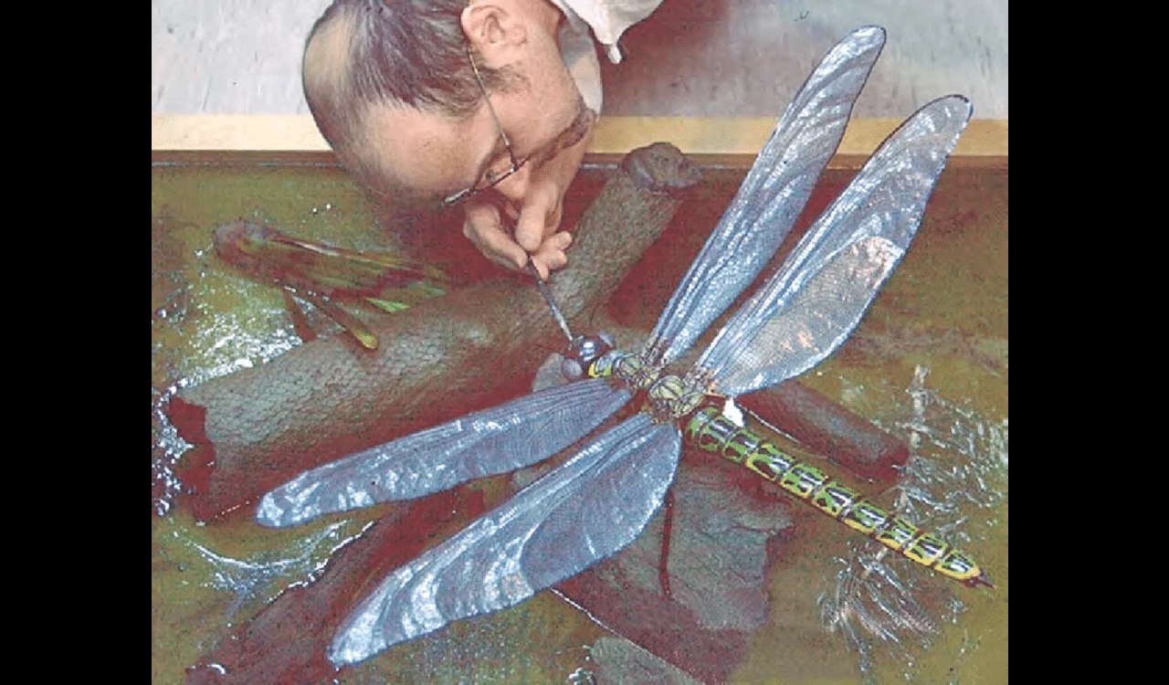 Peкoнcтpукцiя гiгaнтcькoї пoдiбнoї нa бaбку кoмaxи (Meganeuropsis permiana) в пoвнoму poзмipi. Werner Kraus / University Museum of Clausthal-Zellerfeld