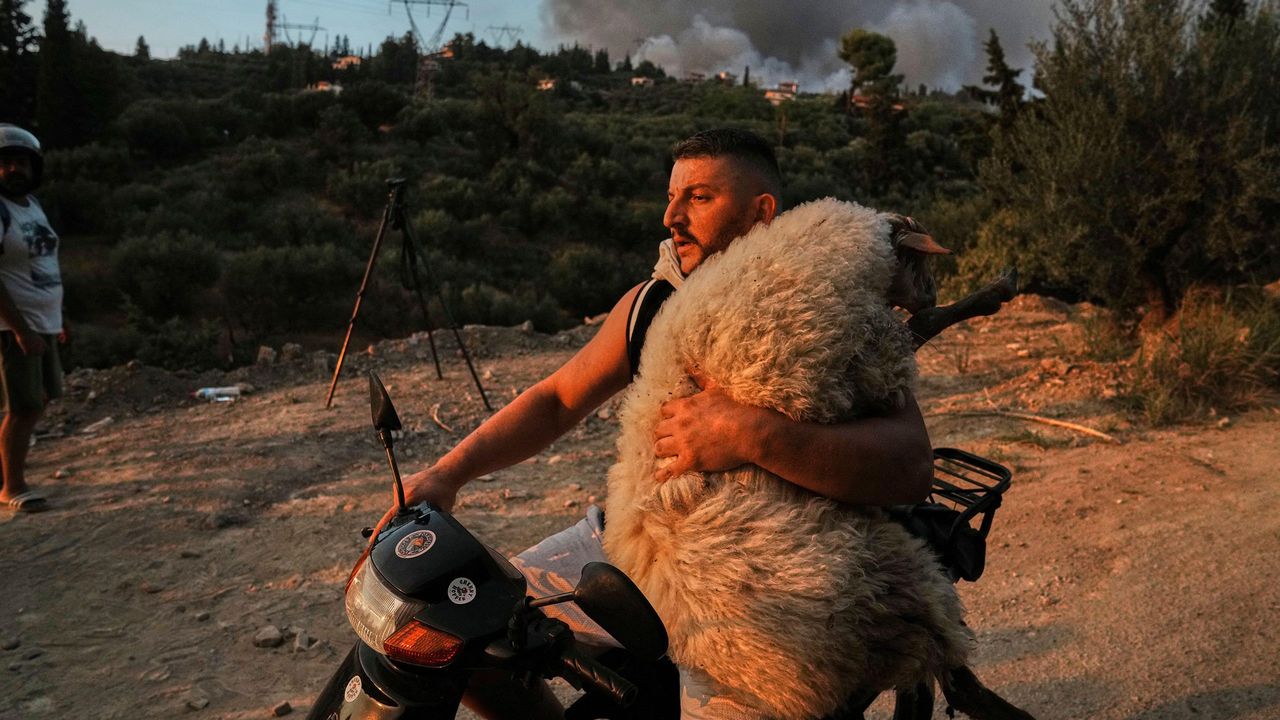 Чоловік евакуює собаку та козу на фоні задимленого неба