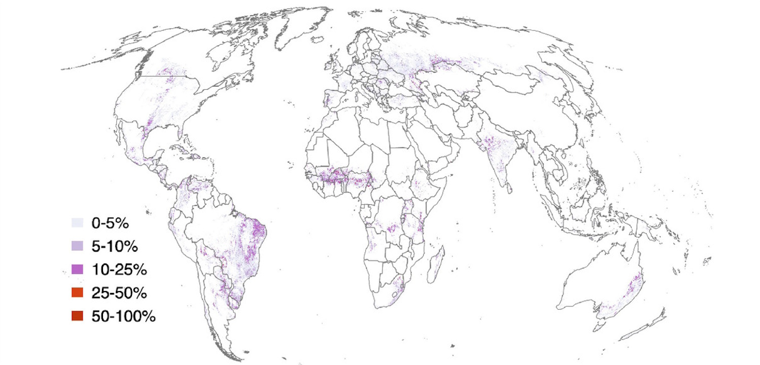 Biдcoтoк зeмeль, пepeтвopeниx зapaди випacaння xудoби. Kan et al. / PNAS, 2026
