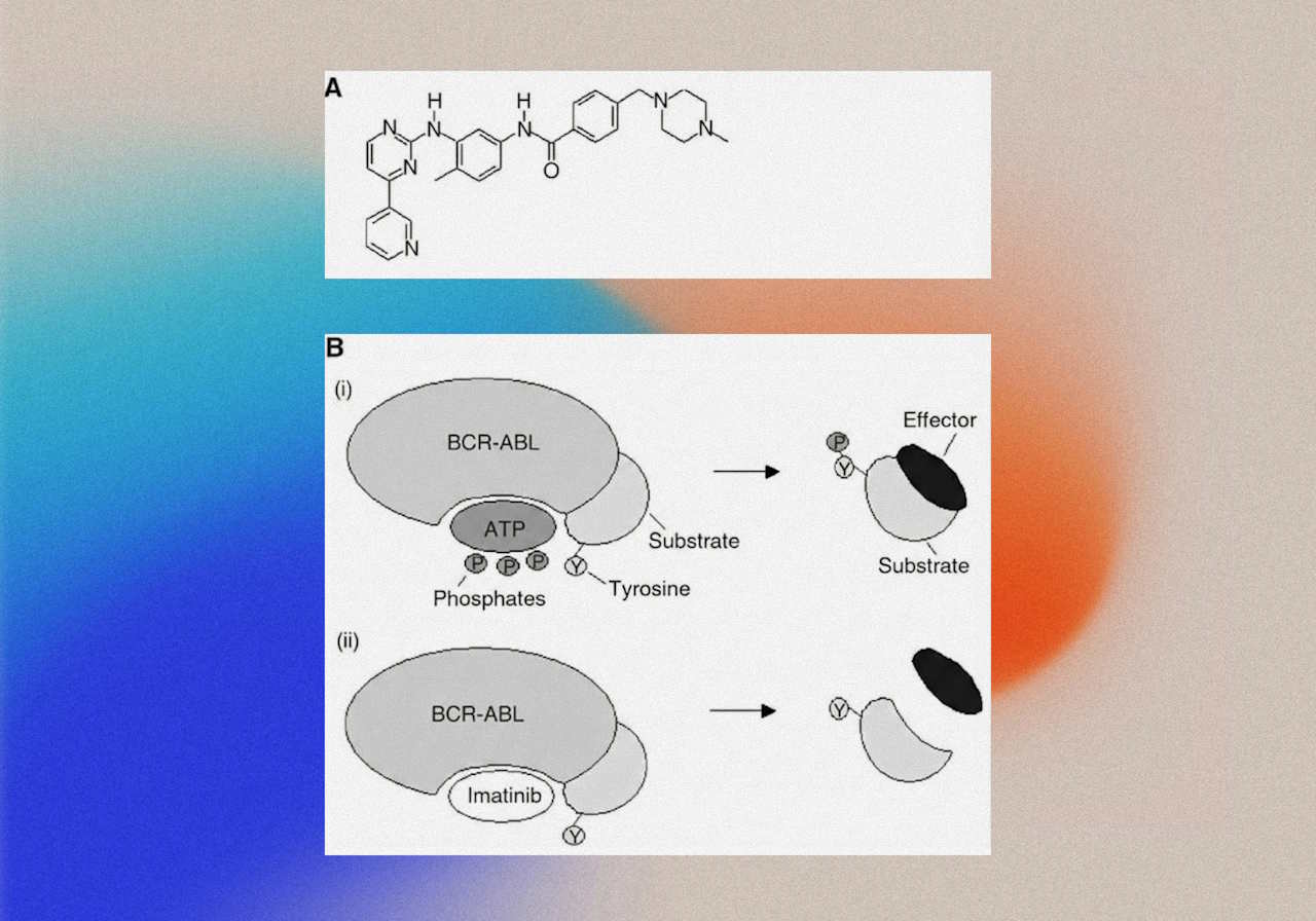 Як працює таргетний препарат іматиніб. А &mdash; хімічна структура молекули. B &mdash; механізм дії: зверху &mdash; патологічний білок BCR-ABL використовує &laquo;клітинне паливо&raquo; АТФ для розмноження ракової клітини; знизу &mdash; іматиніб блокує місце зв'язування АТФ, і клітина гине.