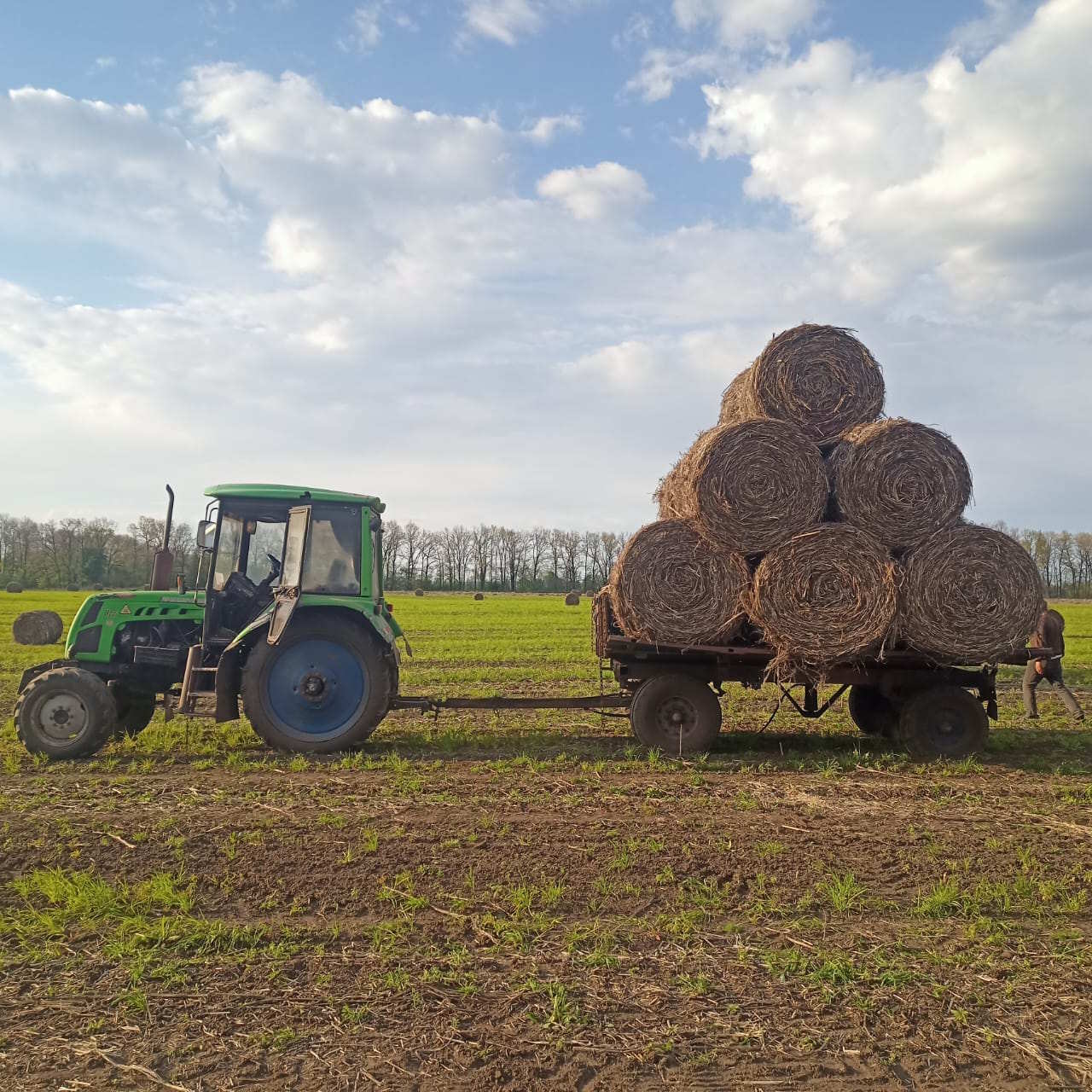 Блок для конопляного будівництва