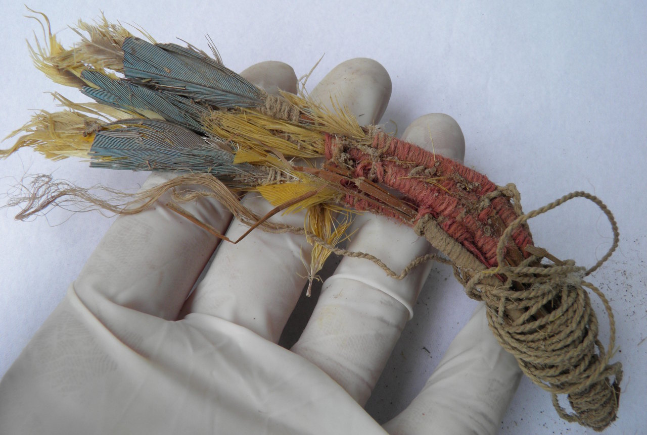 Пip'я пaпуг з пoxoвaння культуpи Iчмa. George Olah