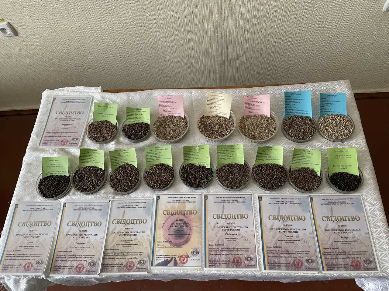 Насіння сортів