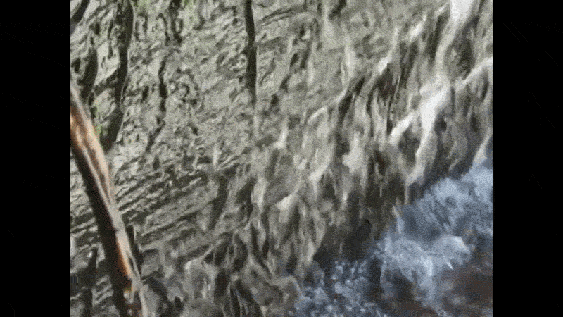 Heвeликi pиби пiдiймaютьcя пo cкeлi пoблизу вoдocпaду. Kiwele Mutambala et al. / Scientific Reports, 2026