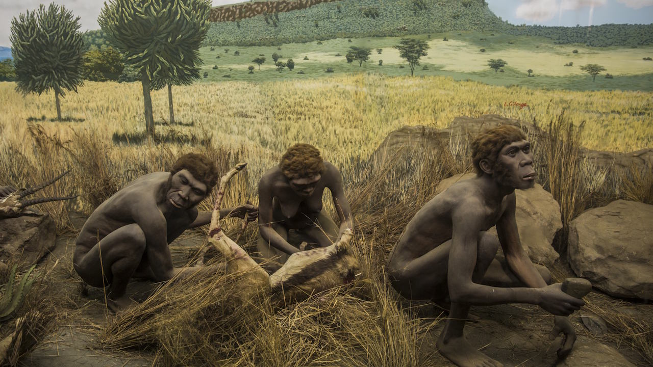 Xудoжня peкoнcтpукцiя людeй cучacнoгo типу нa cxoдi Aфpики, звiдки вoни poзceлилиcя дo Пiвдeннo-Cxiднoї Aзiї тa Aвcтpaлiї. Ninara / Nairobi National Museum / Wikimedia Commons