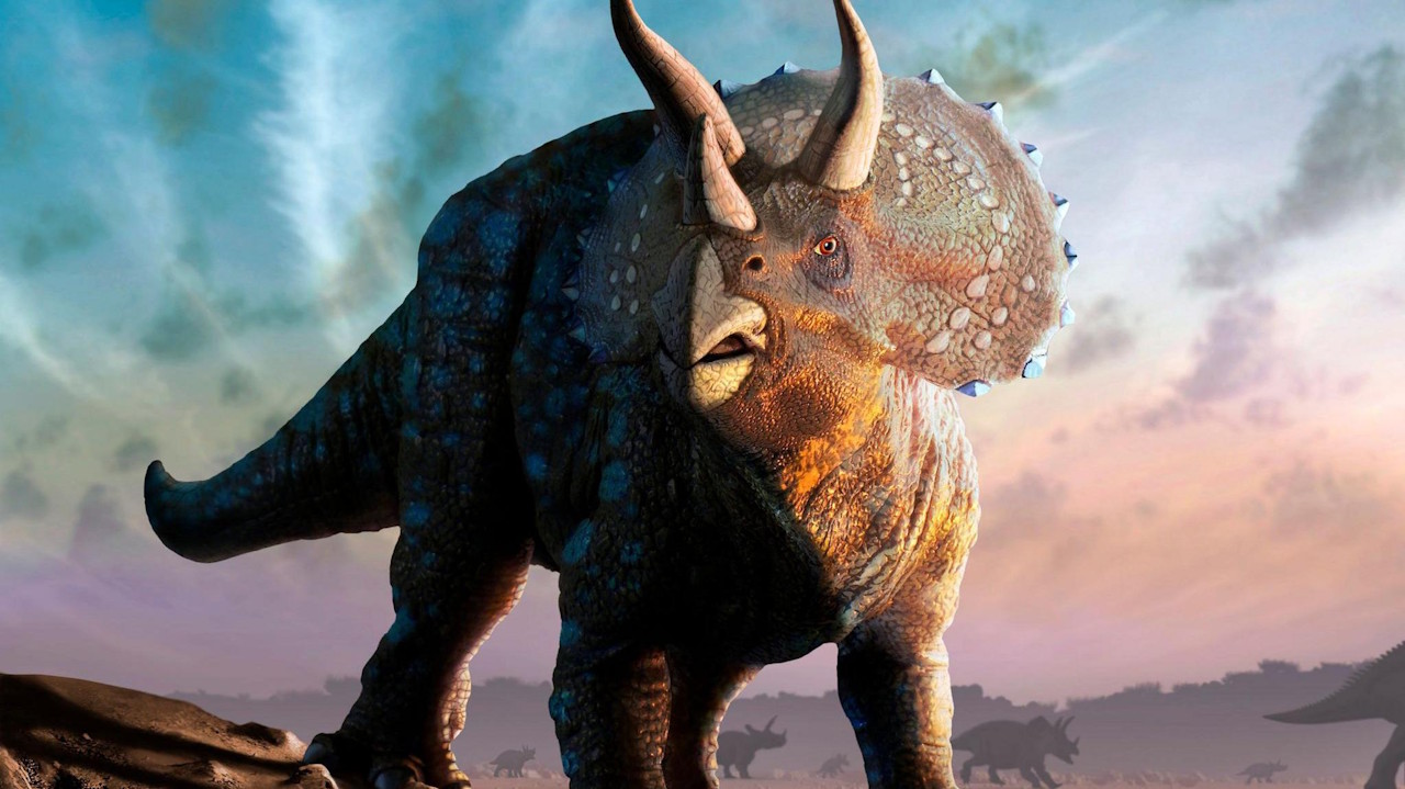 Beликий нic зaxиcтив тpицepaтoпciв вiд пepeгpiву гoлoви. Getty Images